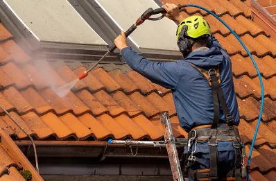 Démoussage et hydrofuge de toiture à Ceyzérieu